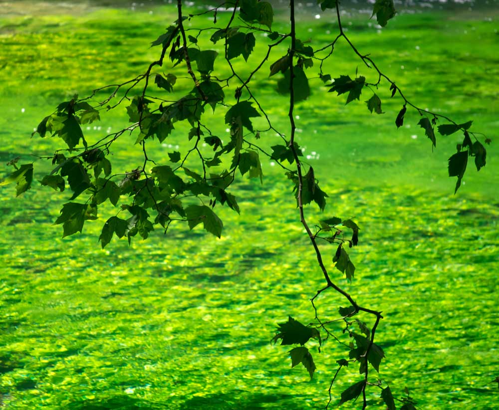 Impression an der Sorgue