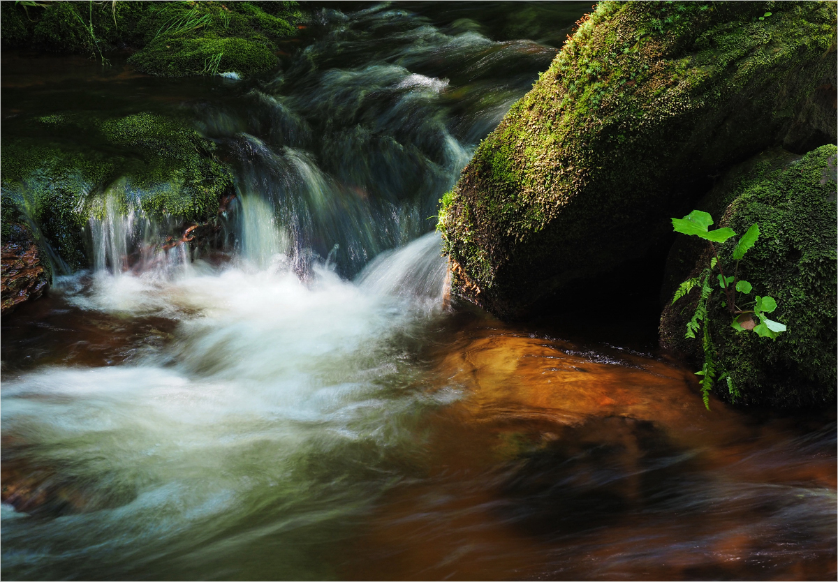 Am schattigen Bach