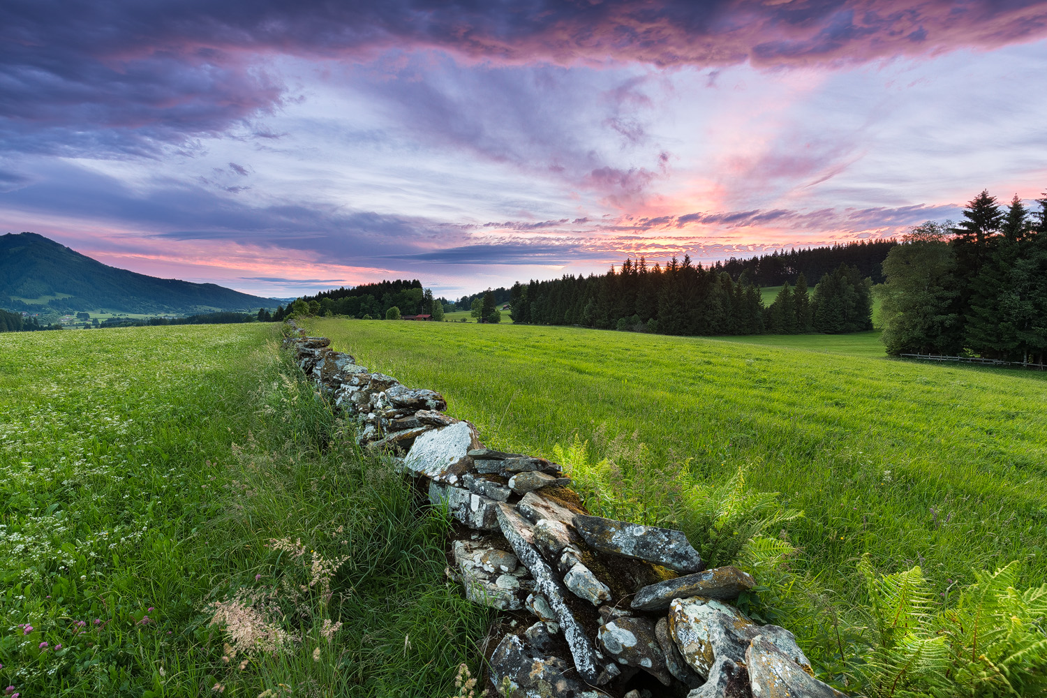 Mein Allgäu