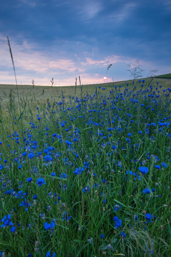 Morgenstimmung in Blau