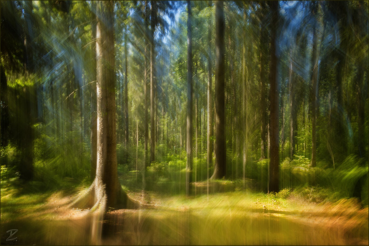Mischwald