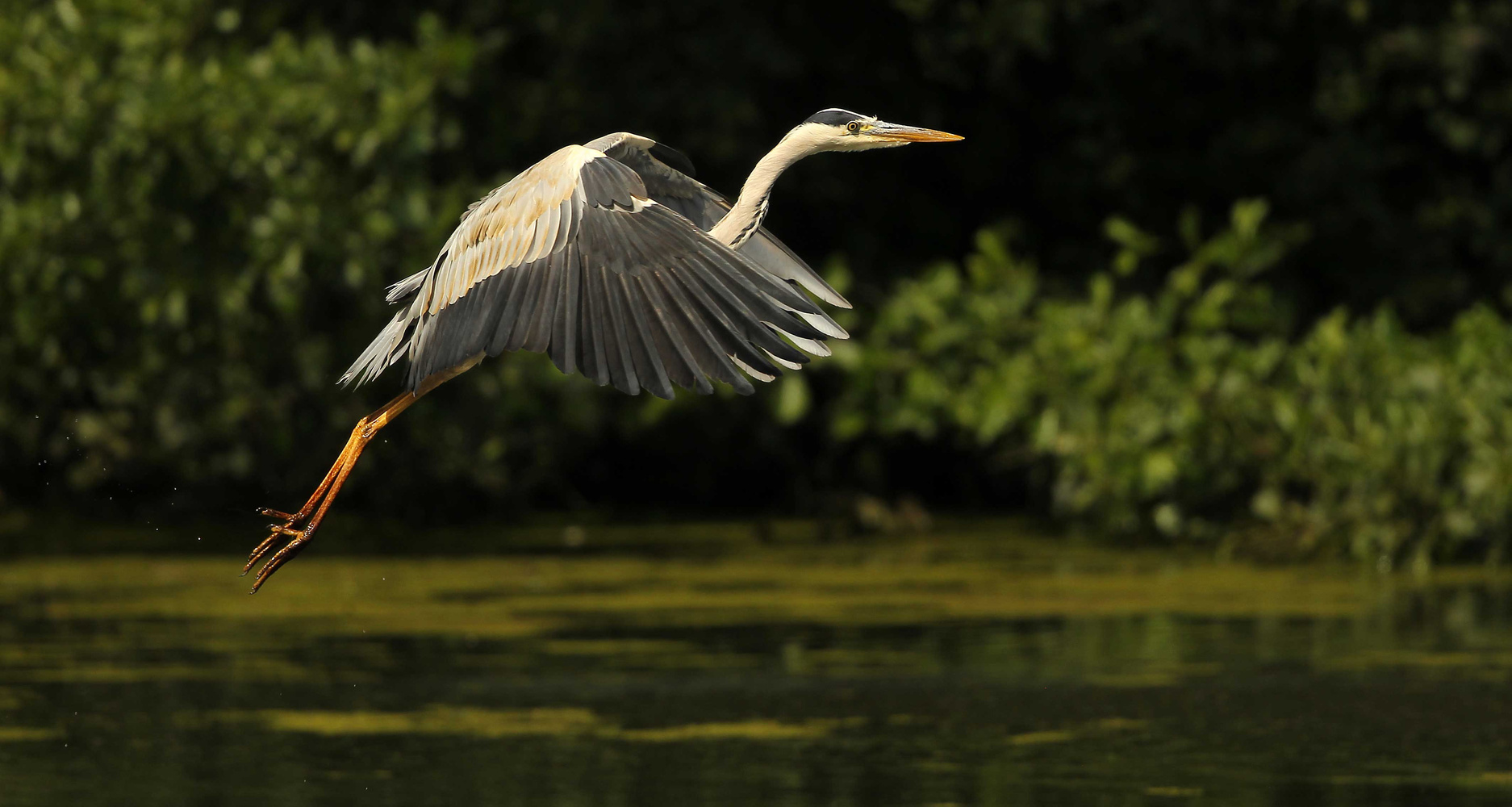 Vorbeiflug