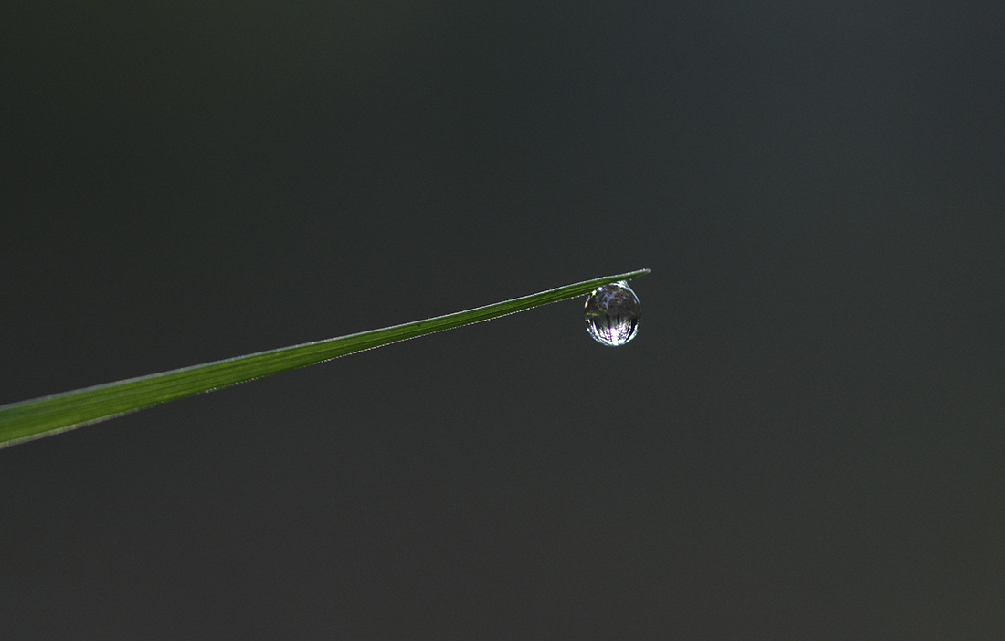 Wassertropfen