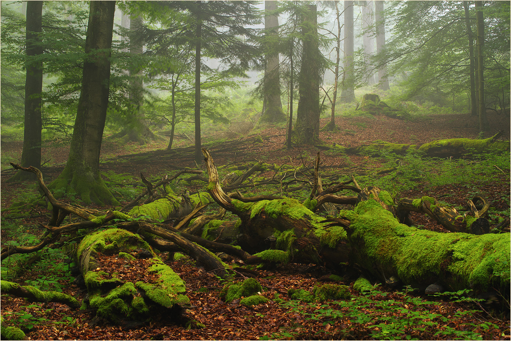 Am Hochkelberg