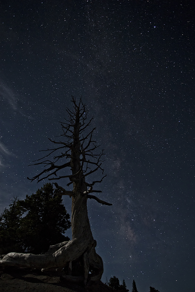 Bryce Canyon bei Nacht