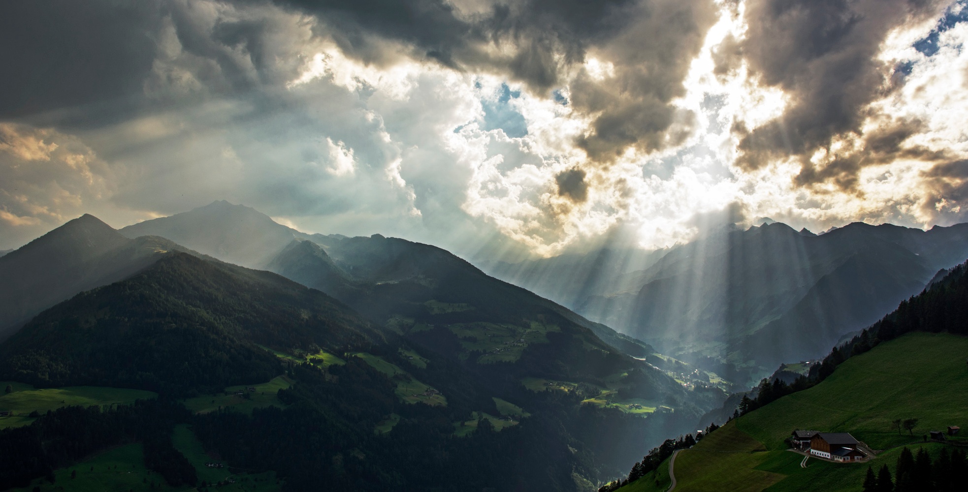 Im Scheinwerferlicht der Natur