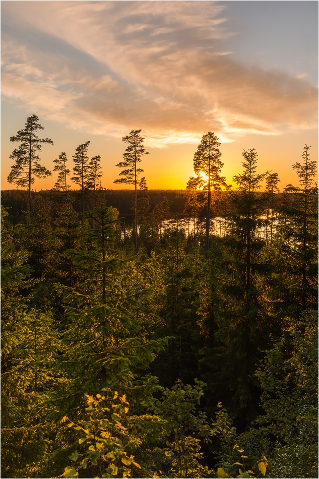°°° golden sunset °°°
