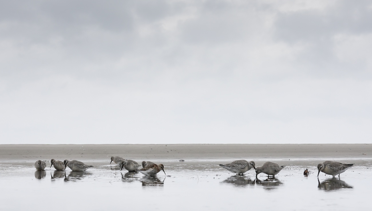 Schietwetter im Limi-Paradies