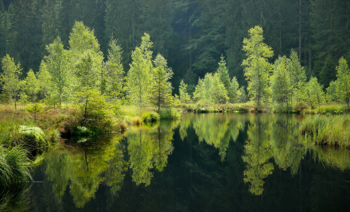 Still ruhet der See