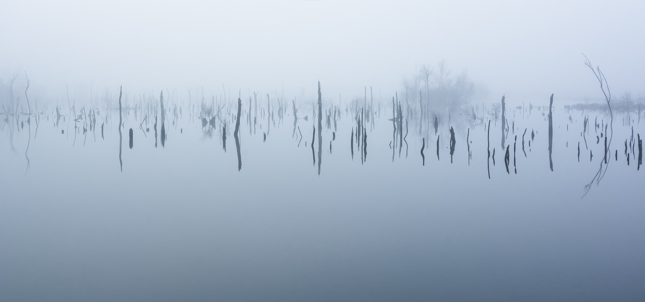 __moor im nebel__