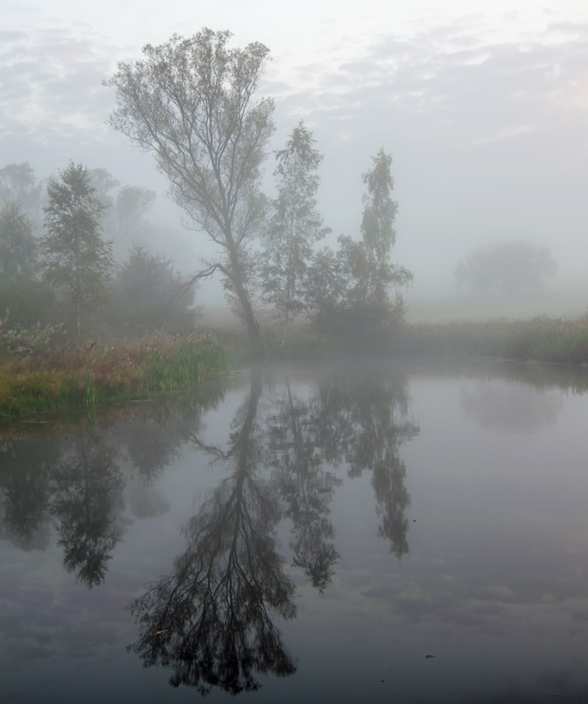 Doppelgänger im Morgennebel