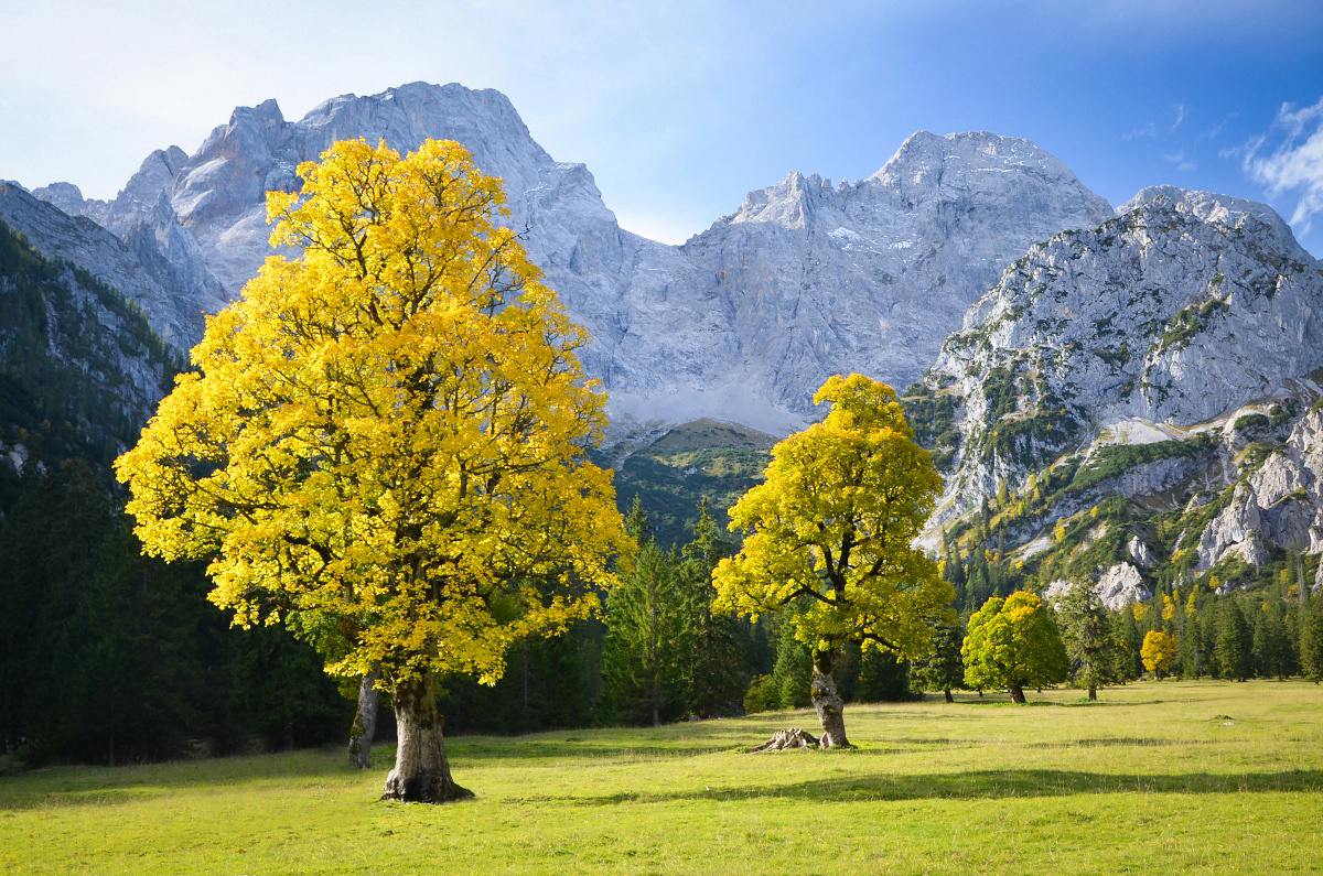 Herbstliches Karwendel