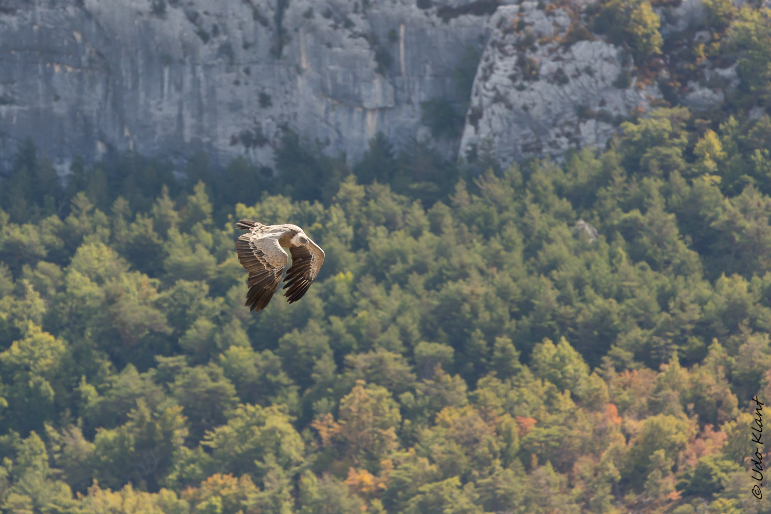 Gorges du Verdon