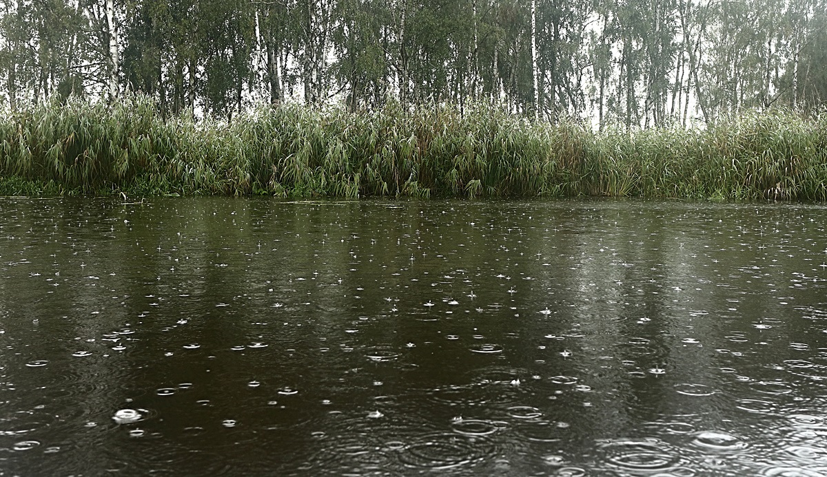 Aus der dunklen Wolke...