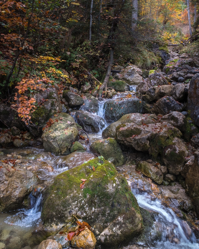 Herbstbach