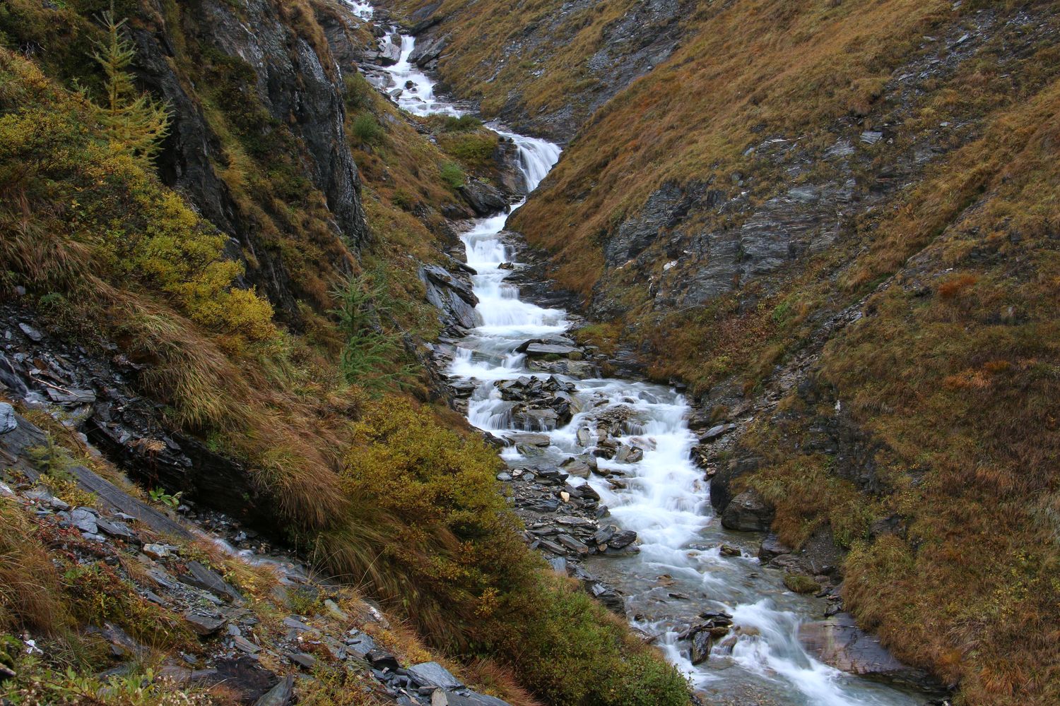 Bergbach im Herbst