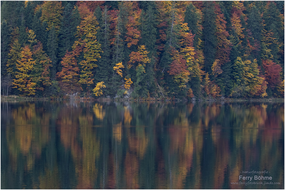 Herbst am Eibsee