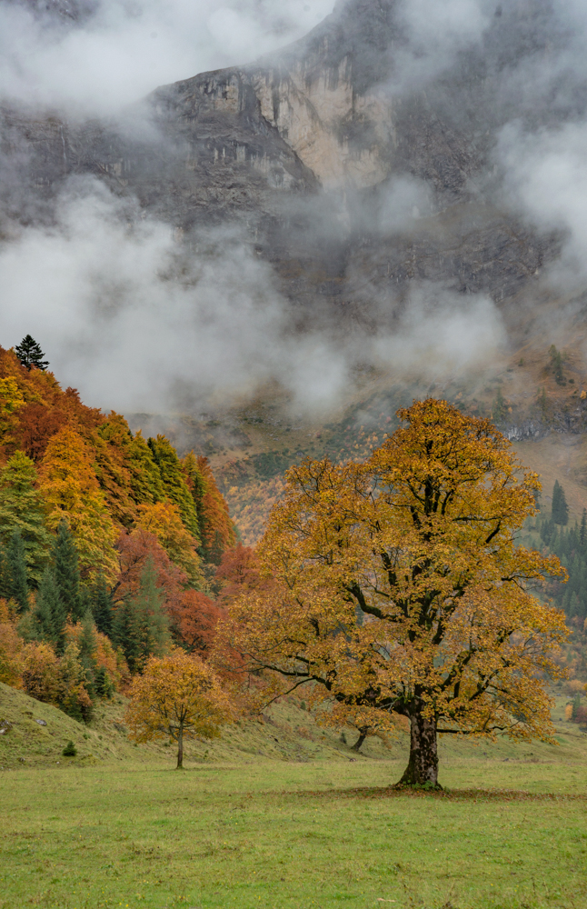 Der Ahornboden in der Engalm