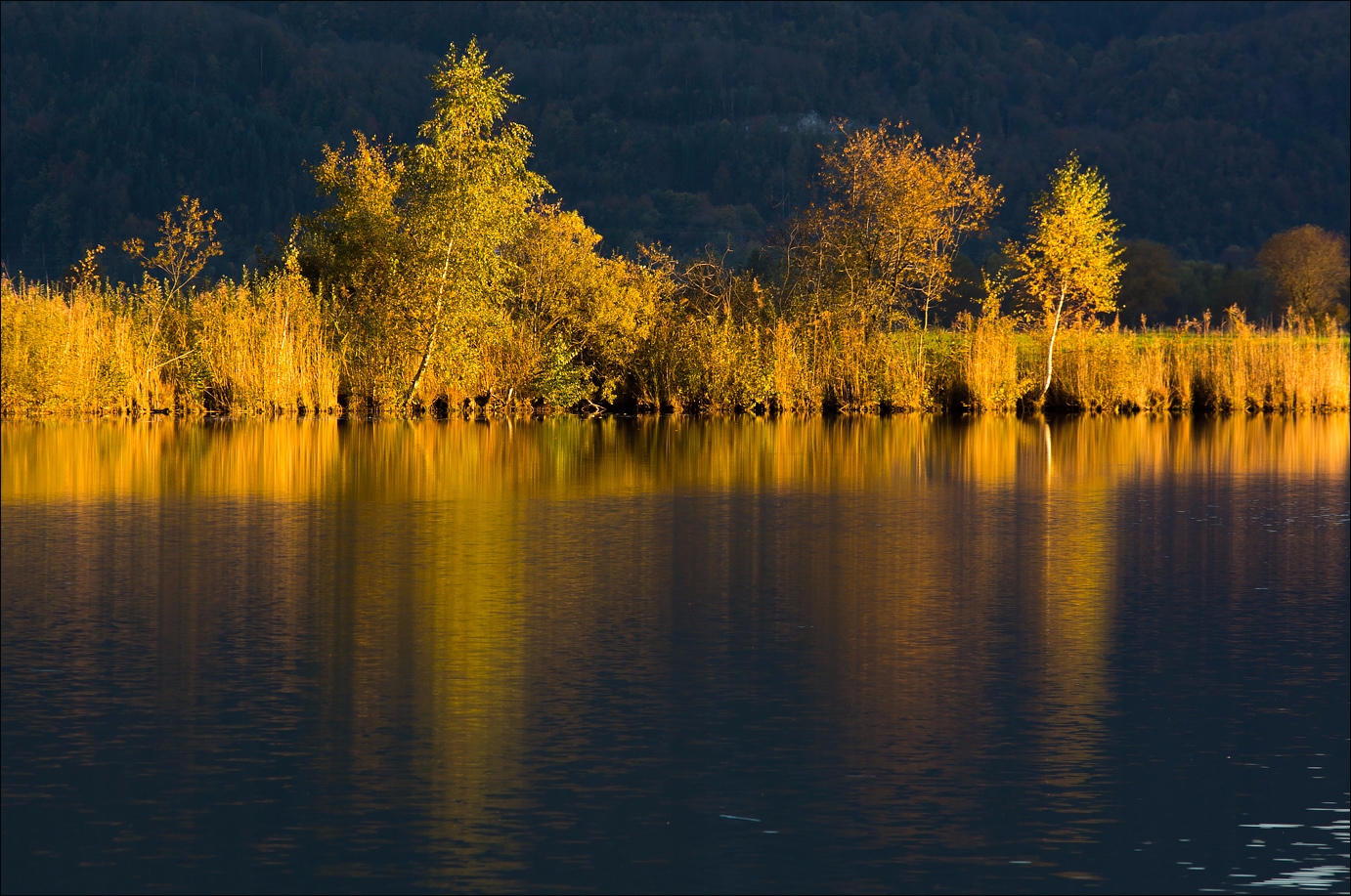 °°° Herbstlich(t) °°°