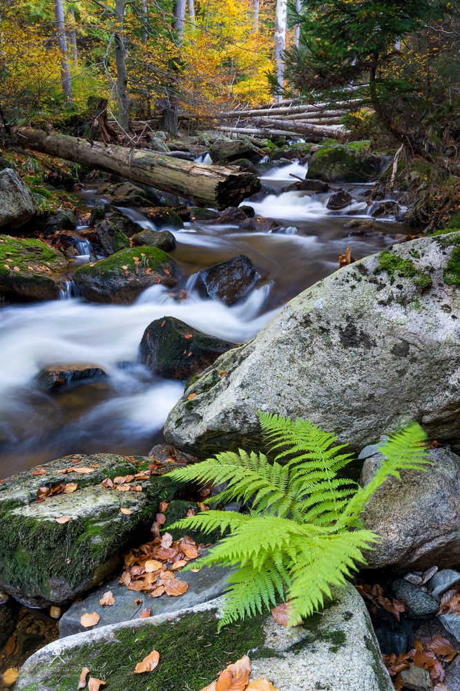 Ilsefälle im herbstlichen Harz