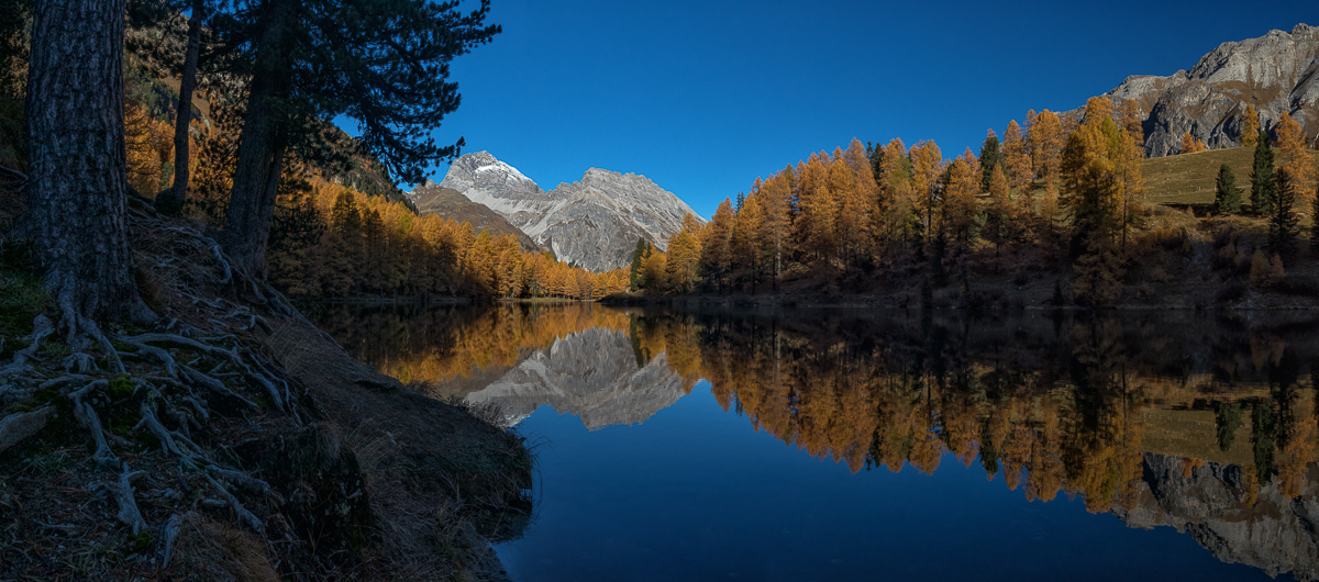 goldener Herbst