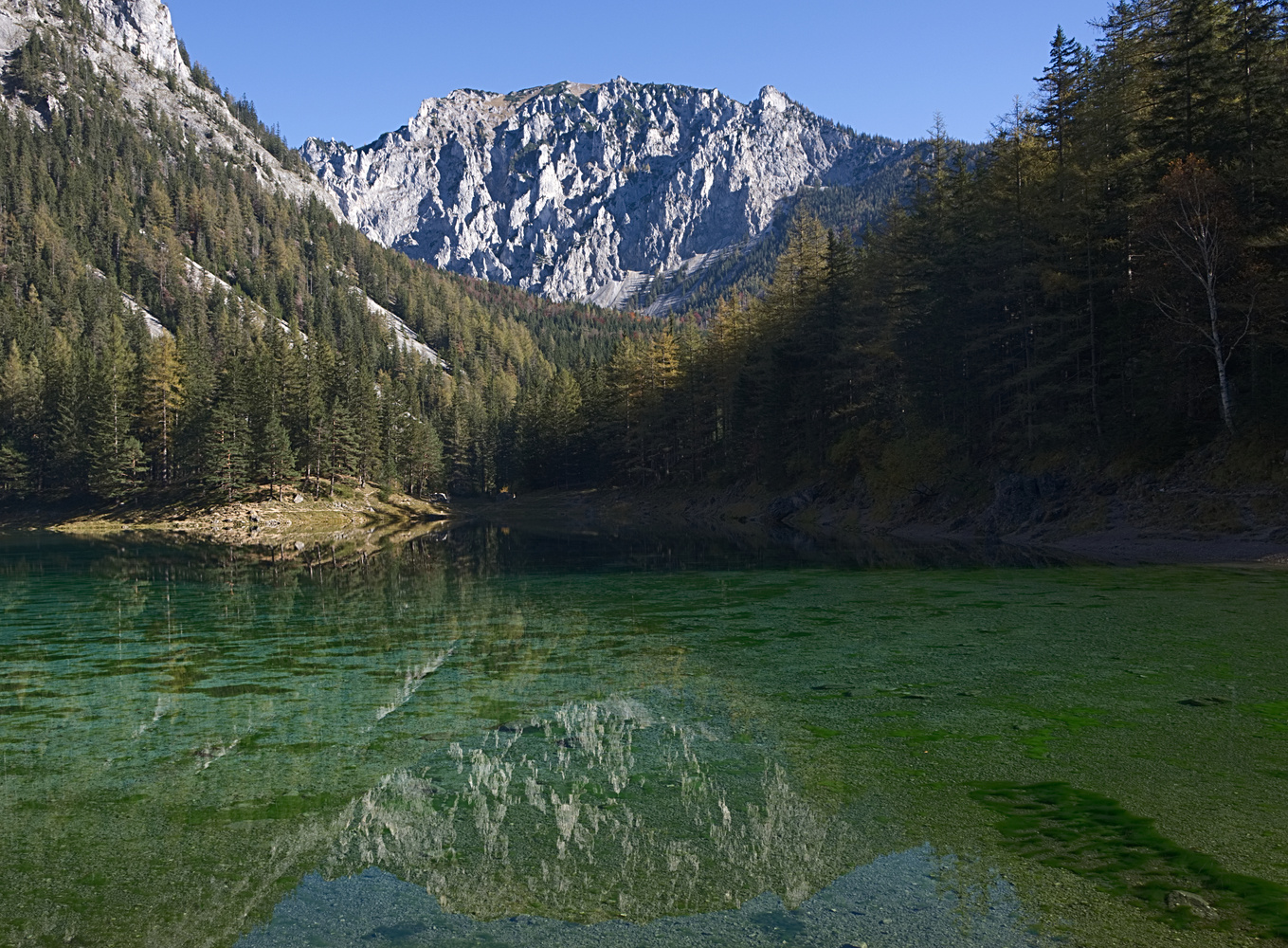 Grüner See in der Steiermak - Tragöß