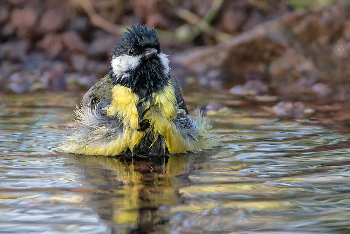 Ein bisschen Wellness