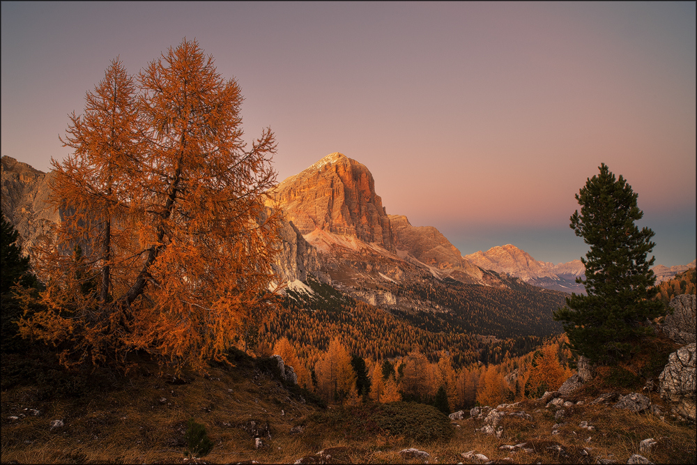Tofana