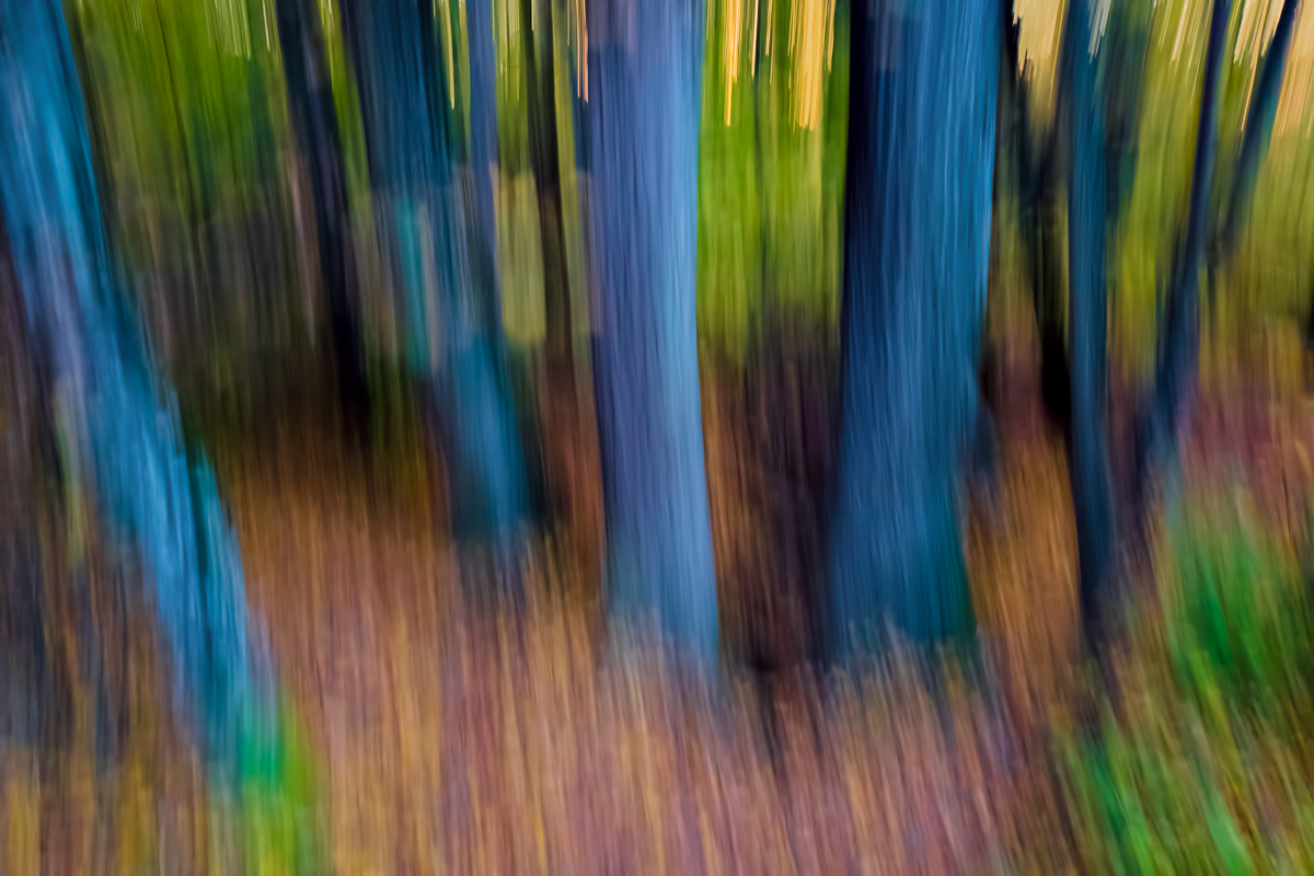 Farben des Herbstes-eine Interpretation