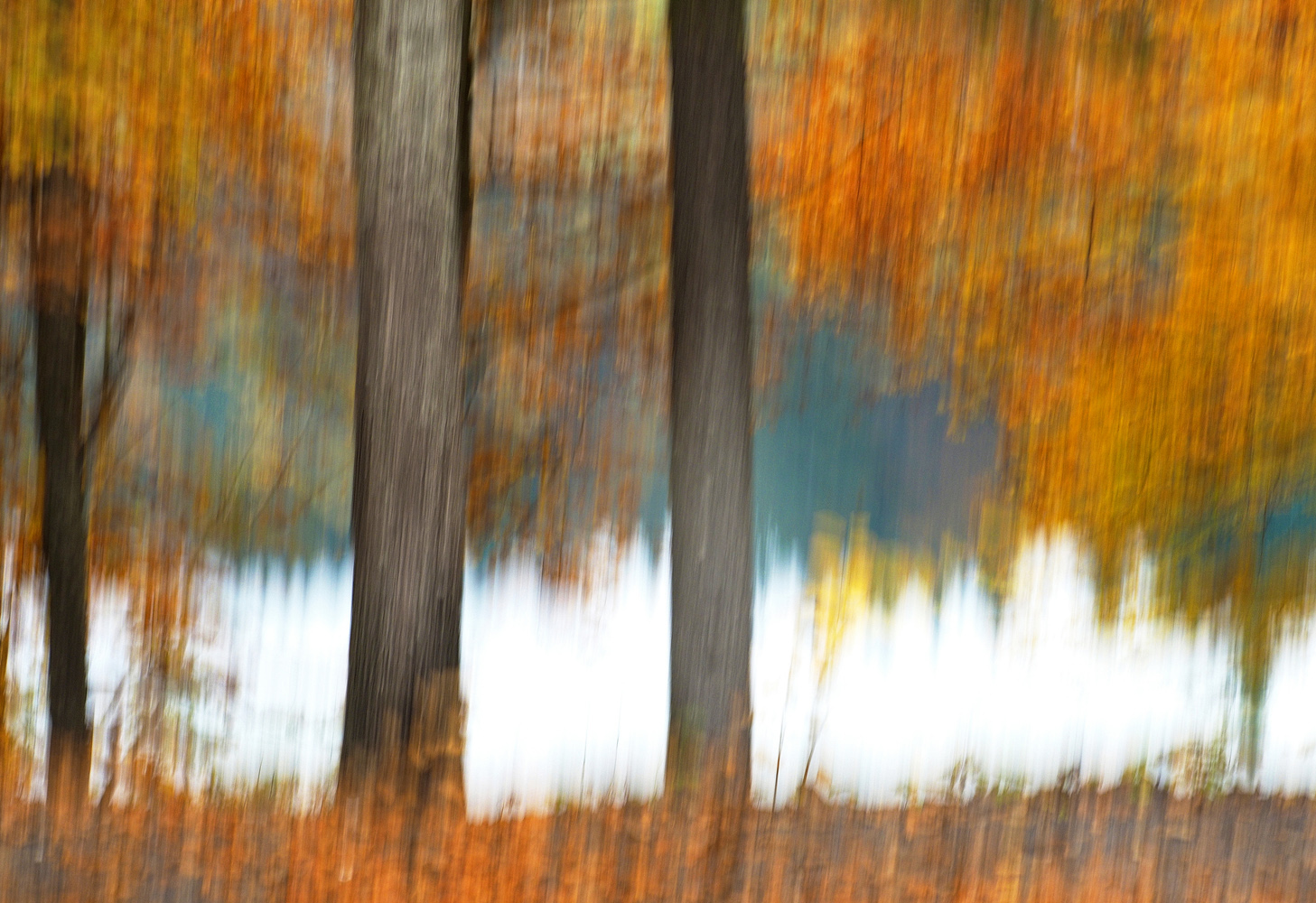 Herbst am See