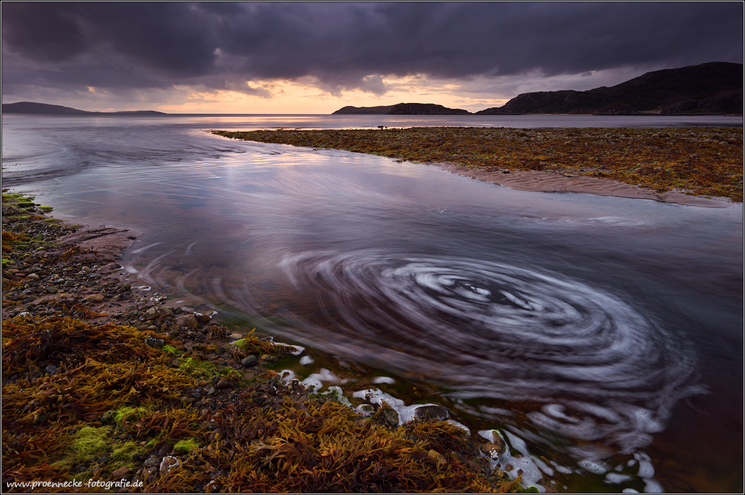 Ebbe (Forum für Naturfotografen)