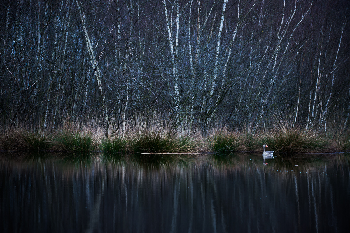~Moor-Mystik~