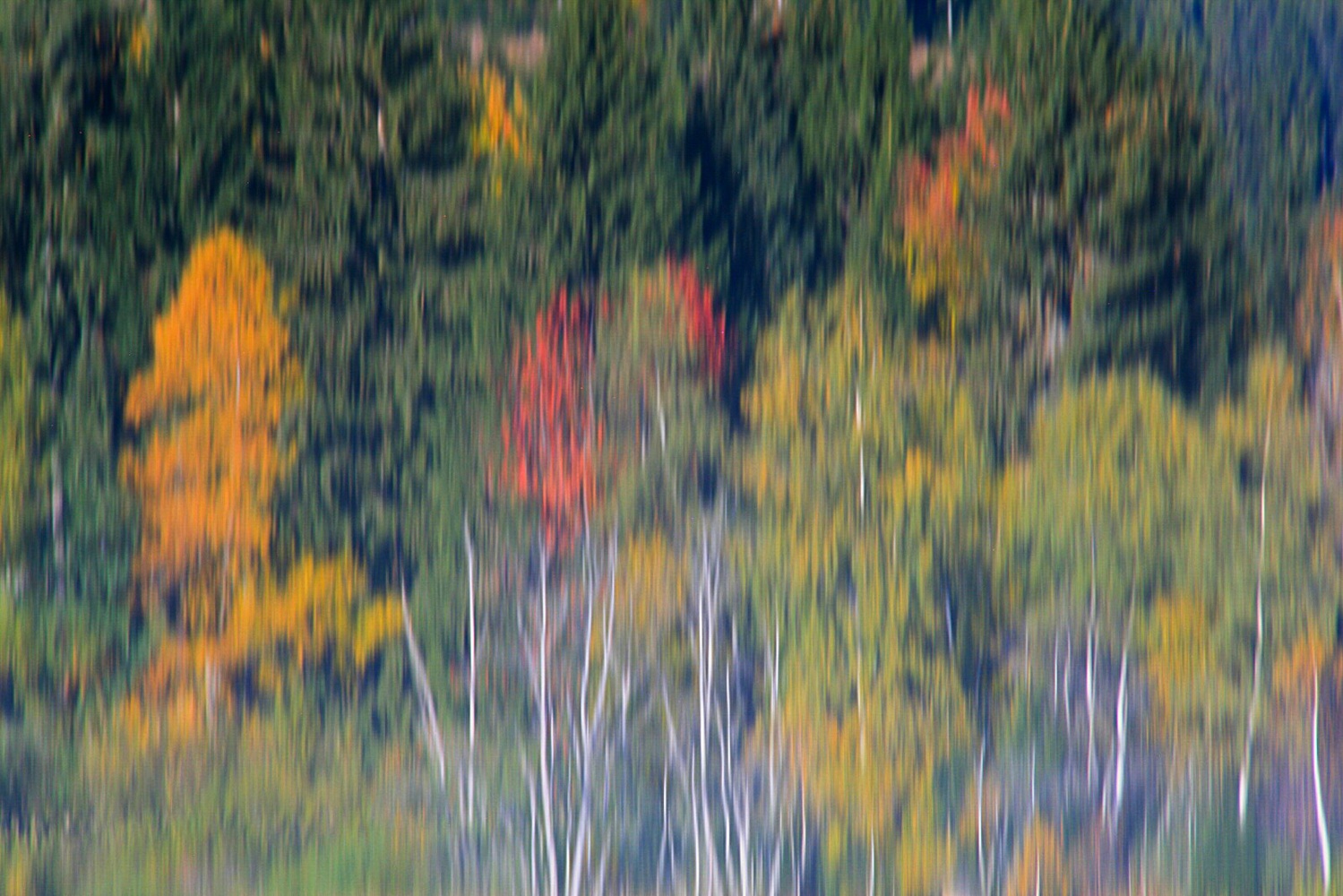 Herbstliche Wasserspiegelungen