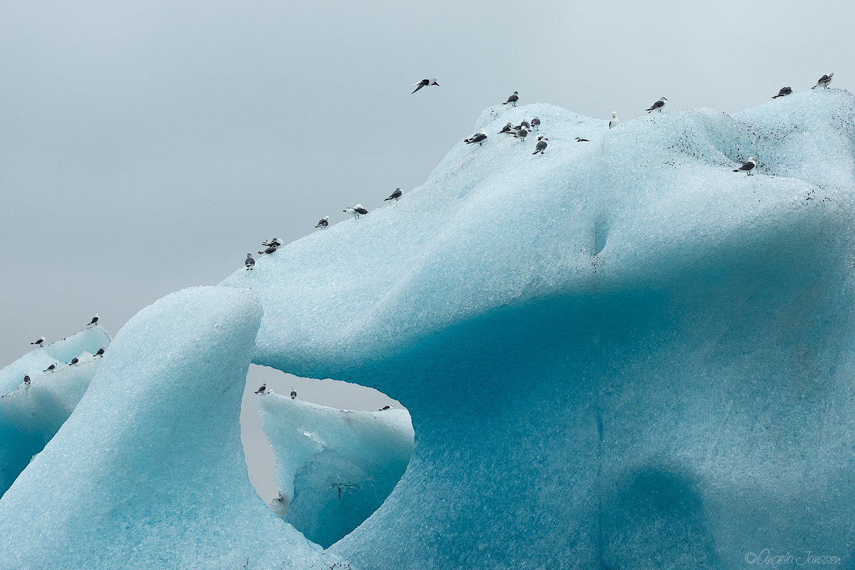 Schwer was los auf den Eisbergen am Jökulsarlon