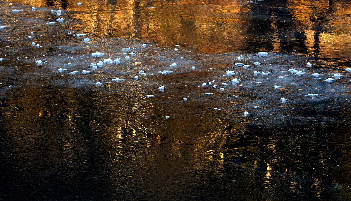 Eisblumen