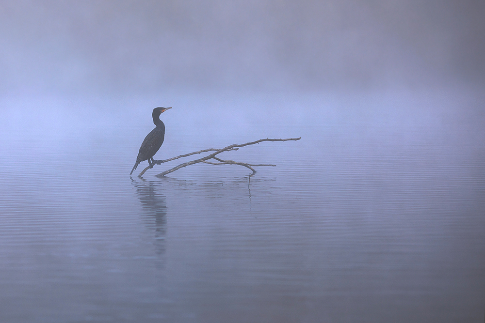 Herbststimmung am See