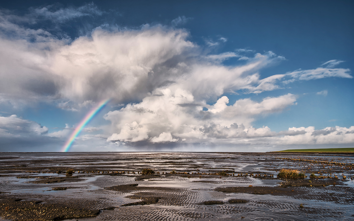  Regen  Sonne  und Wind Forum f r Naturfotografen 