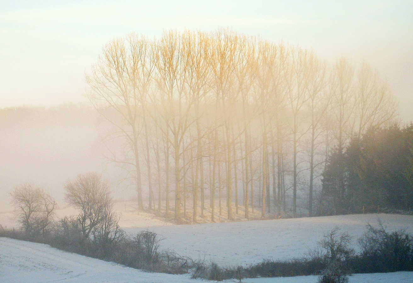 Nebel muß nicht düster sein....