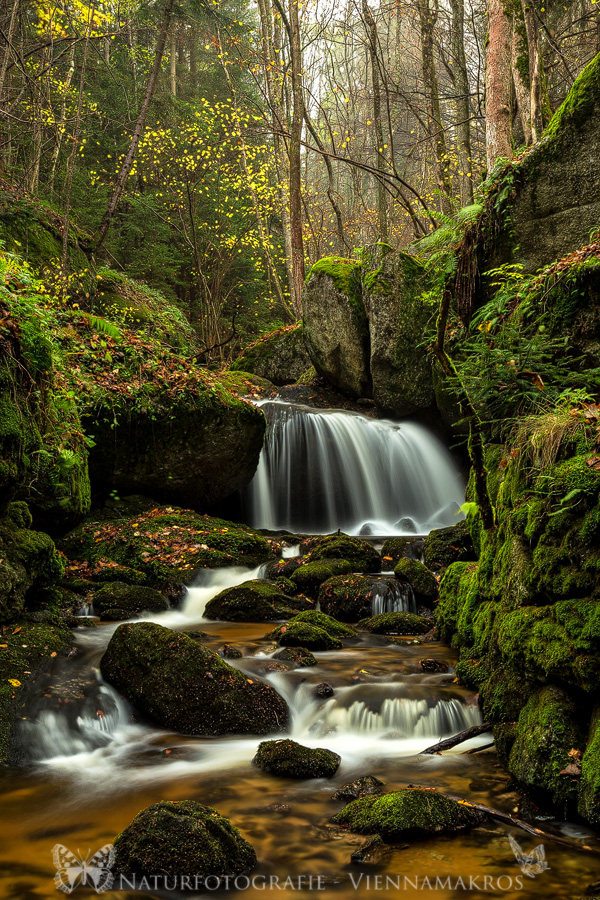 Ysperklamm