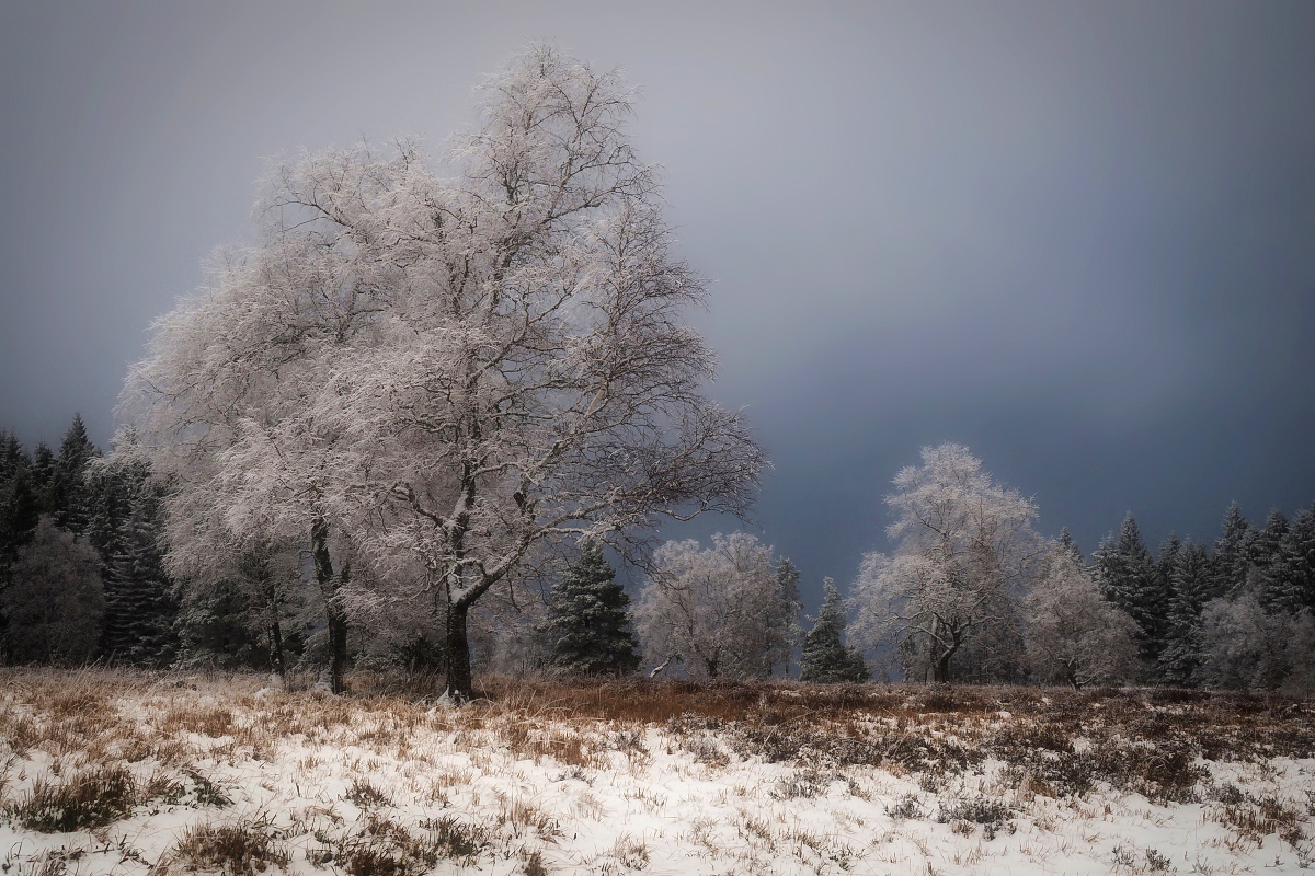 Erster Schnee im Schwarzwald