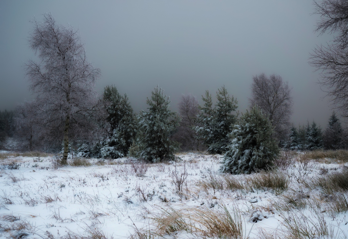 Dunkler Wintertag