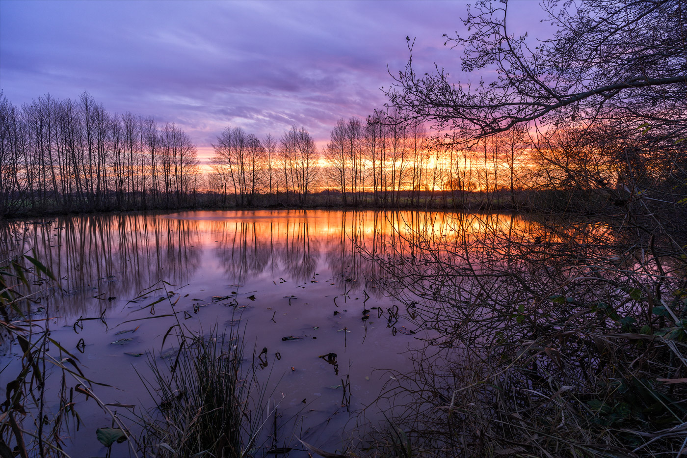 morgens in der Marsch