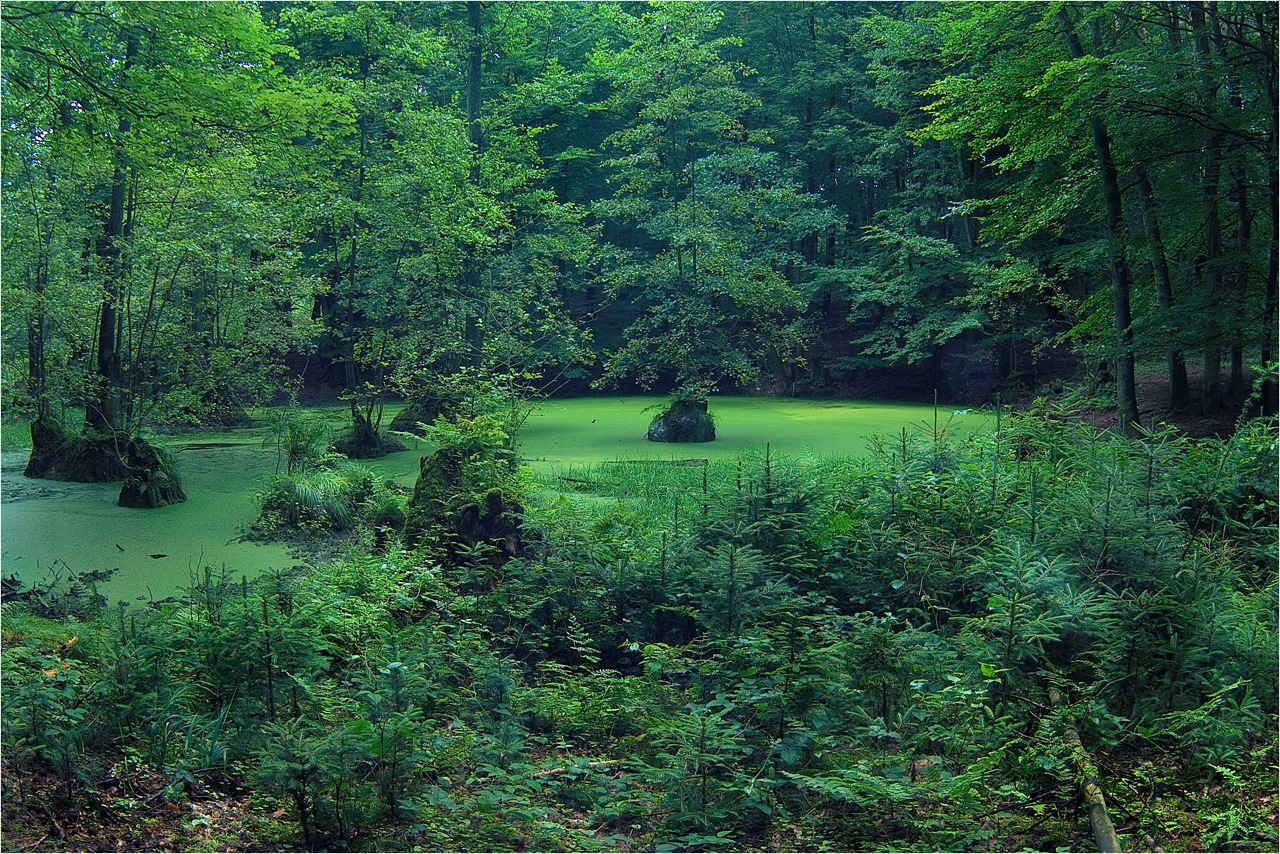 sommerlich grünes Leuchten