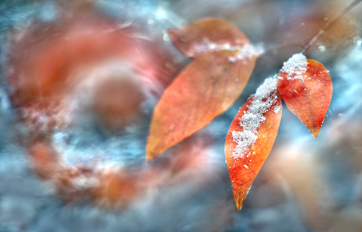 Winter meets Autumn ...,