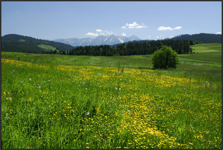 Sommer im Tatra-Vorland