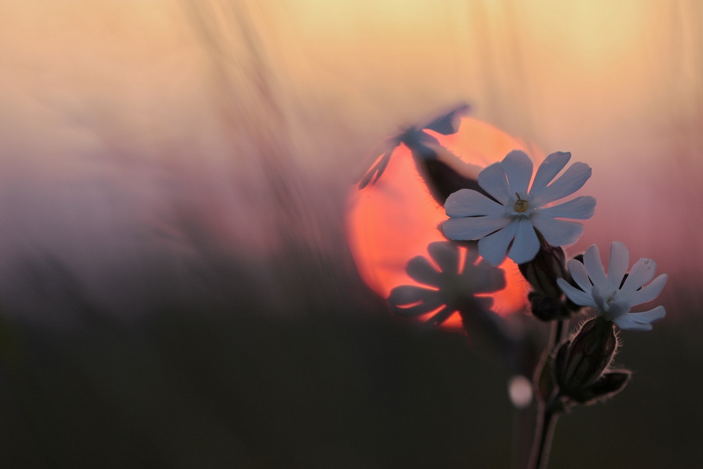 Sonnenuntergang