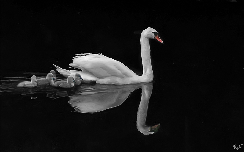 Ausflug