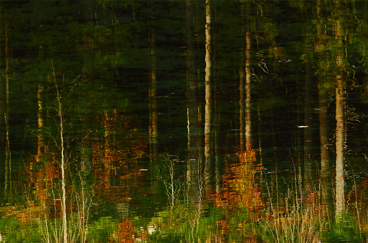 Herbstliches Licht im Spiegel ....