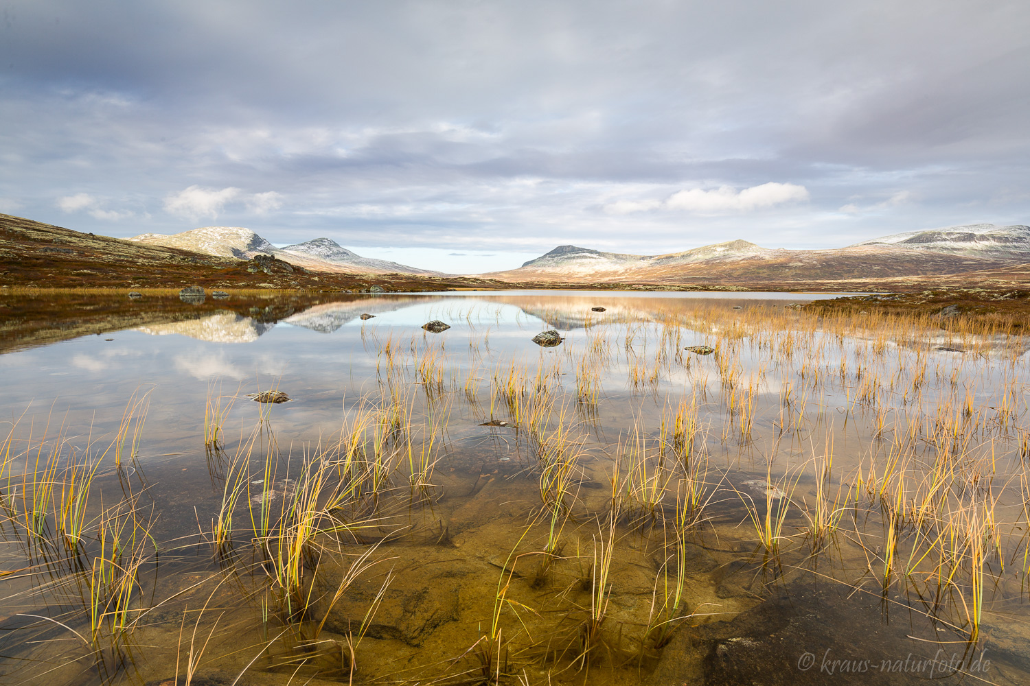 Rondane