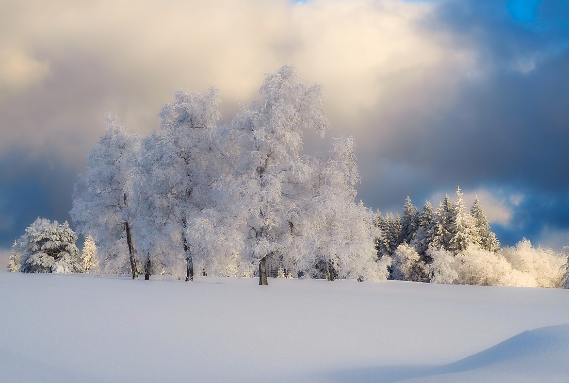 Winterbild